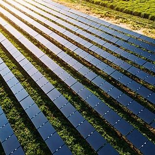 Ground-mounted solar power plant beside a cranberry bog in Carver, Massachusetts